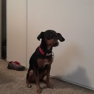 Meet your Posher, Isaac